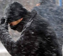 Погода в Туле 28 января: мокрый снег, гололед и оттепель