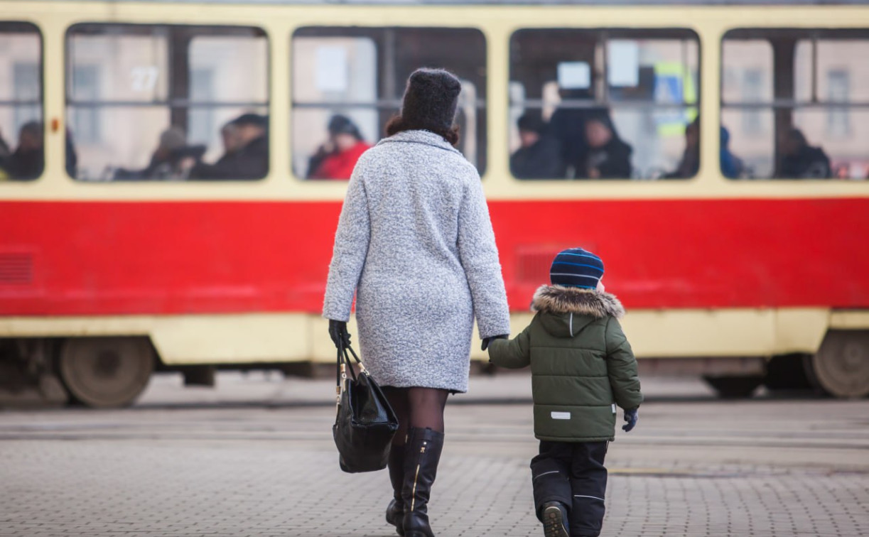 В Тульской области единое пособие с начала года оформили родители более 50 тысяч детей