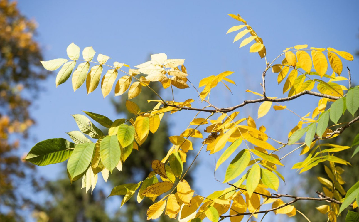 Выходные в Тульской области будут сухими и облачными