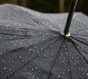 Погода в Туле 11 июня: дождь с грозой и до +28 градусов