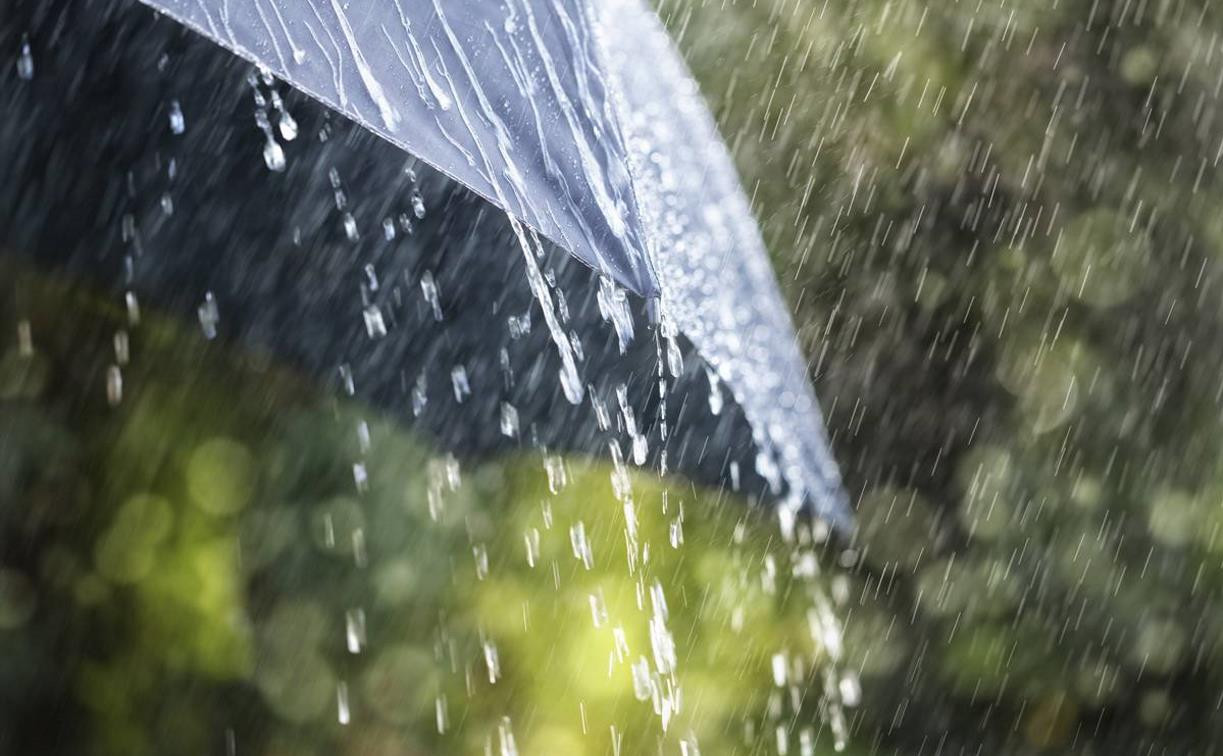 Погода в Туле 14 мая: прохладно и дождливо, местами грозы
