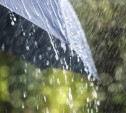 Погода в Туле 14 мая: прохладно и дождливо, местами грозы