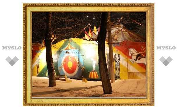 В Новомосковске «зажег» бродячий цирк