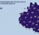 В каких городах и сёлах Тульской области есть COVID-19: карта на 24 августа