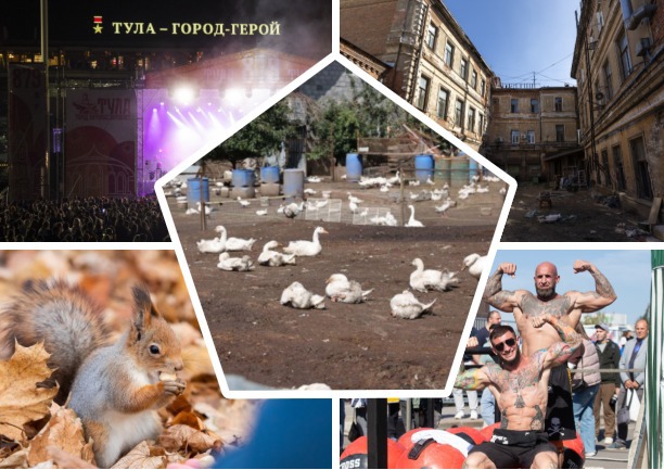 Неопознанные гуси, силачи и новое пространство «Двор»: топ новостей недели от Myslo