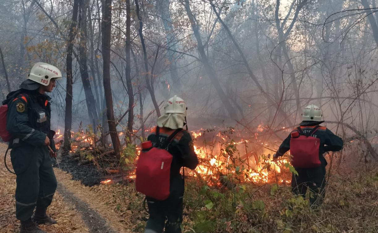 100 туляков тушат лесные пожары под Воронежем