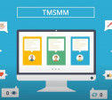 Сервис TmSMM – используем в работе эффективные возможности