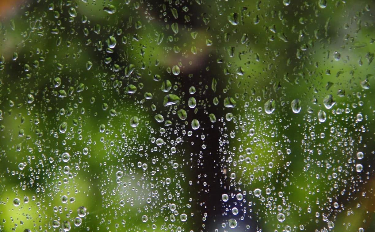 Погода в Туле 21 июля: дожди с грозами, до +24 и переменная облачность