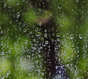 Погода в Туле 21 июля: дожди с грозами, до +24 и переменная облачность