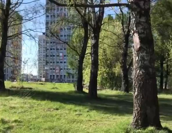 Когда приведут в порядок парк Обороны Тулы?