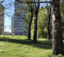 Когда приведут в порядок парк Обороны Тулы?