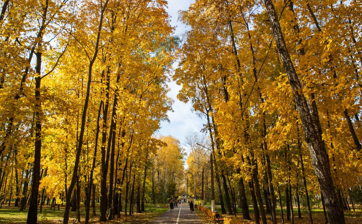 Синоптики прогнозируют теплый ноябрь в Центральной России