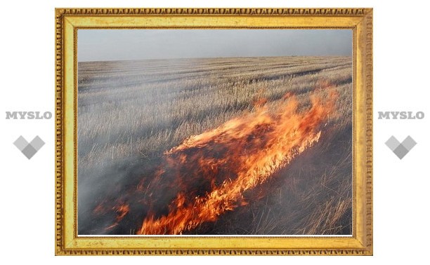 В двух километрах от тульской деревни горит поле