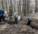 Тульские поисковики обнаружили под Белевом останки семи красноармейцев