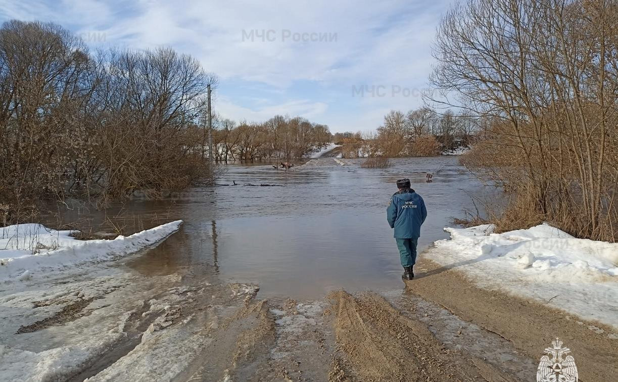 В Тульской области из-за паводка 39 населенных пунктов остались без прямого транспортного сообщения