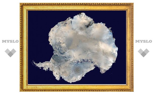 Разрастание Антарктиды объяснили глобальным потеплением