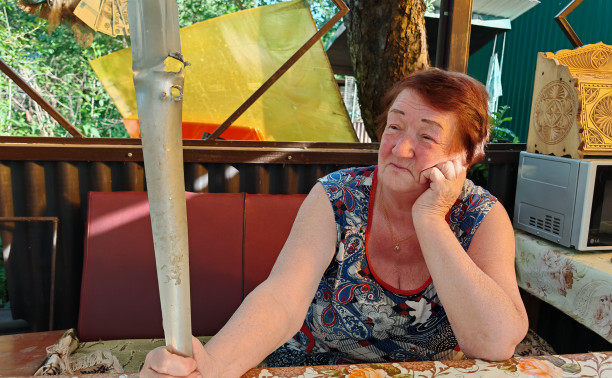 «Только в крыше дома залатали 56 дыр!»: тулячка рассказала о последствиях падения БПЛА