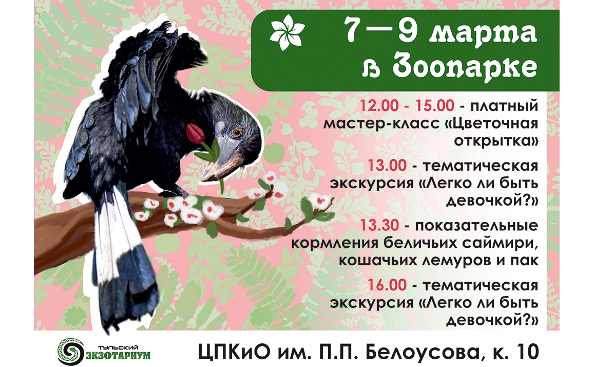«Легко ли быть девочкой?»: в Тульском экзотариуме пройдет бесплатная тематическая экскурсия к 8 Марта