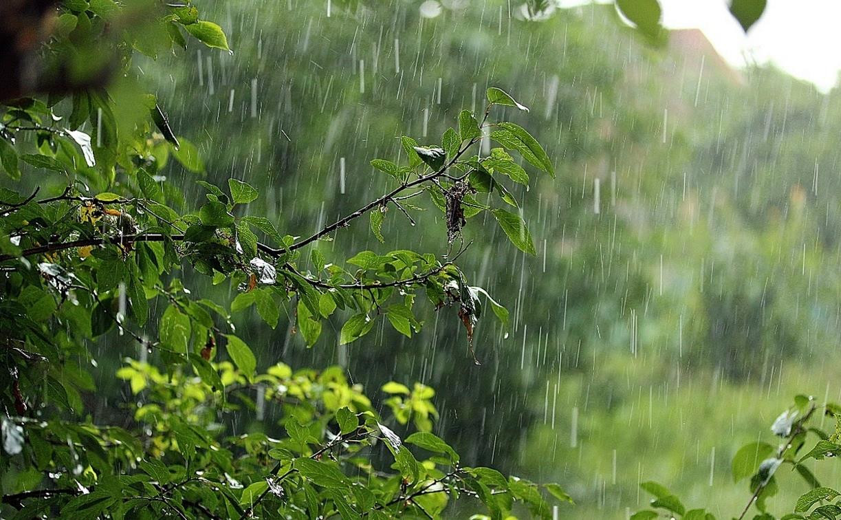 Погода в Туле 20 мая: облачно, дождливо и ветрено