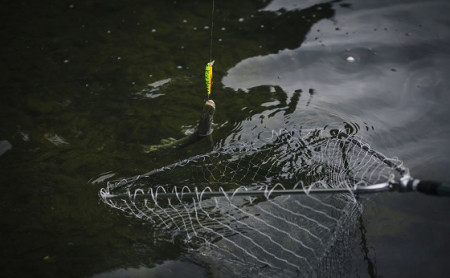 Жизнь Тулы и области