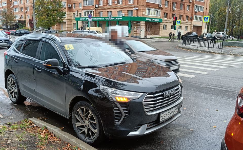 На ул. Болдина водитель припарковался на пешеходном переходе