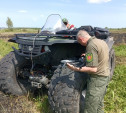 В Тульской области загорелись Лупишкинские болота: погибших животных нет 