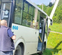 Под Тулой пассажирский автобус вылетел в кювет