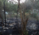 В Куркино на пепелище пожарные обнаружили труп
