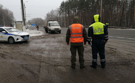 Жизнь Тулы и области