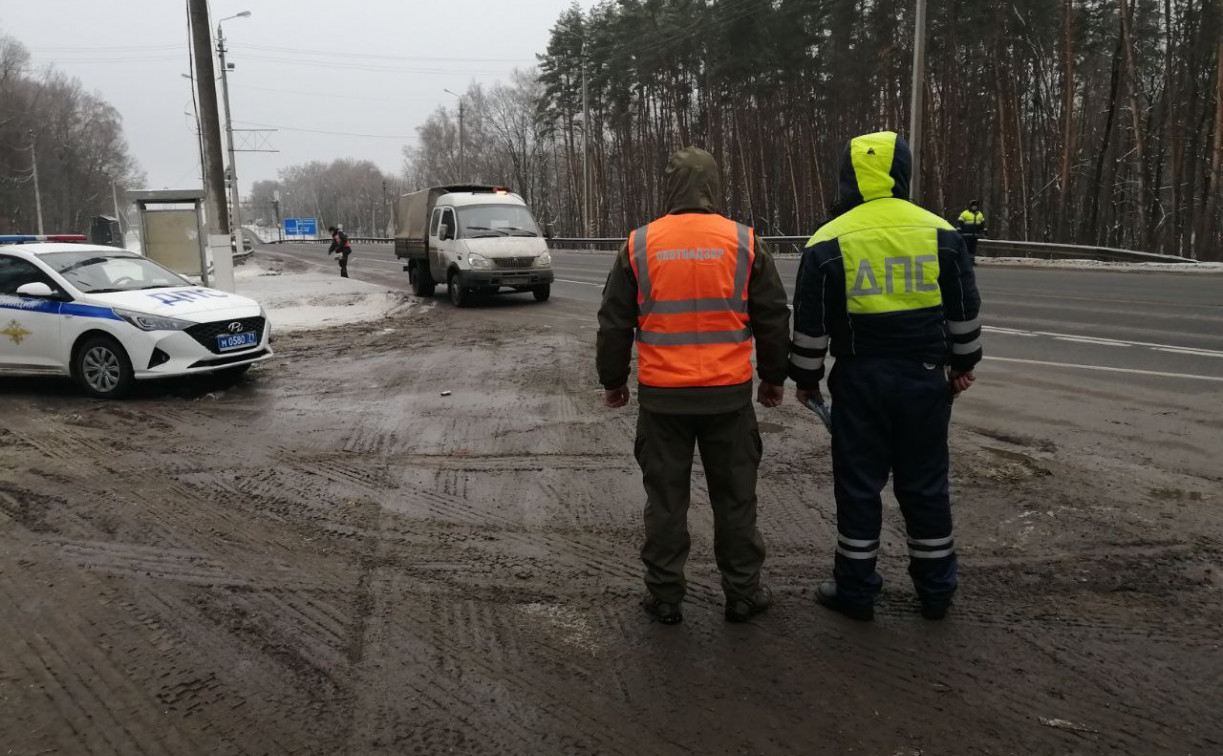 С начала года на тульских дорогах водители сбили 308 диких животных