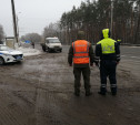 С начала года на тульских дорогах водители сбили 308 диких животных