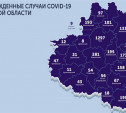 В каких городах Тульской области есть коронавирус: карта на 29 мая
