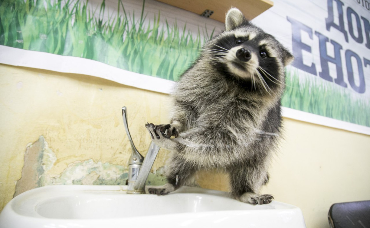 В южной части Тулы сутки будут перебои с водой