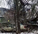 В Туле дерево упало на машину и дом