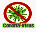 Названы четыре российских региона, где нет коронавируса