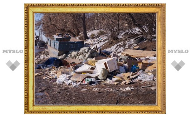 Вместе с весной в Тулу приходят тонны мусора
