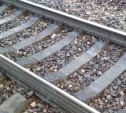 Глухонемой туляк попал под поезд в Подольске