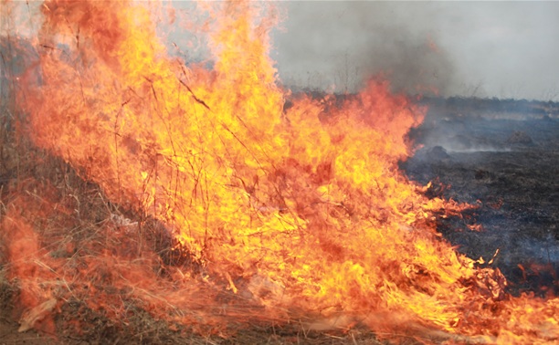 Пожарные продолжают тушить горящие под Тулой поля 