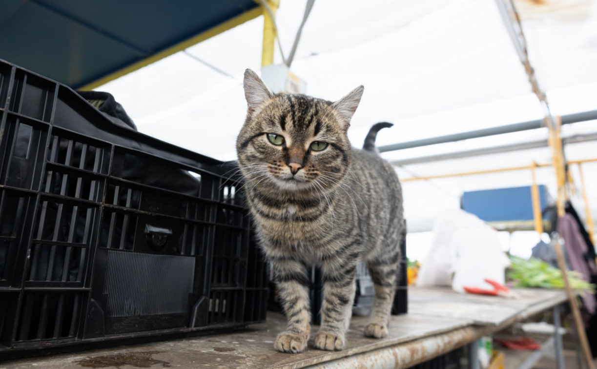 Синоптики: Снег пролежит долго, а март не будет тёплым