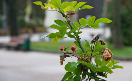 Жизнь Тулы и области