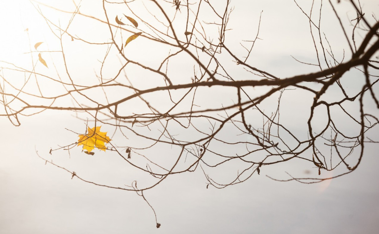 На предстоящей неделе в Центральную Россию придет метеорологическая осень