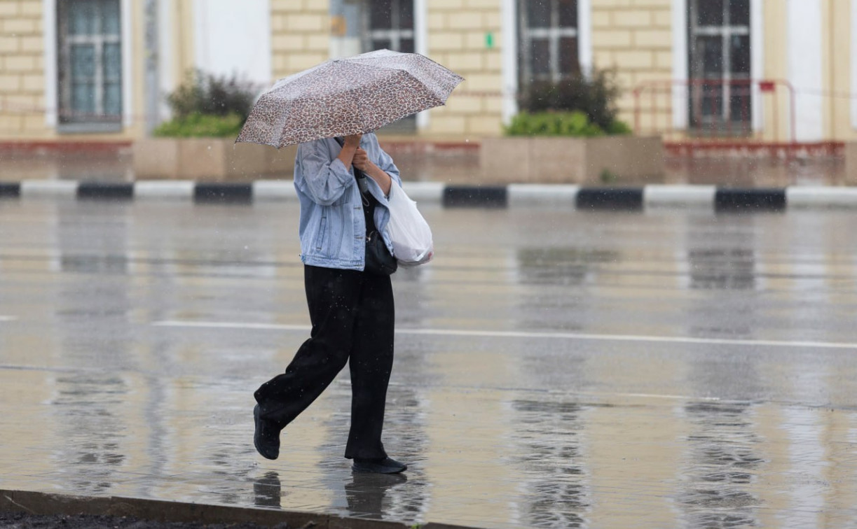 Погода в Туле 18 июля: дожди, грозы и порывистый ветер