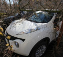 В Туле ураганный ветер повалил деревья и столбы на автомобили
