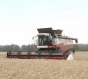 В 2015 году в Тульской области собрали более 1,5 млн тонн зерна