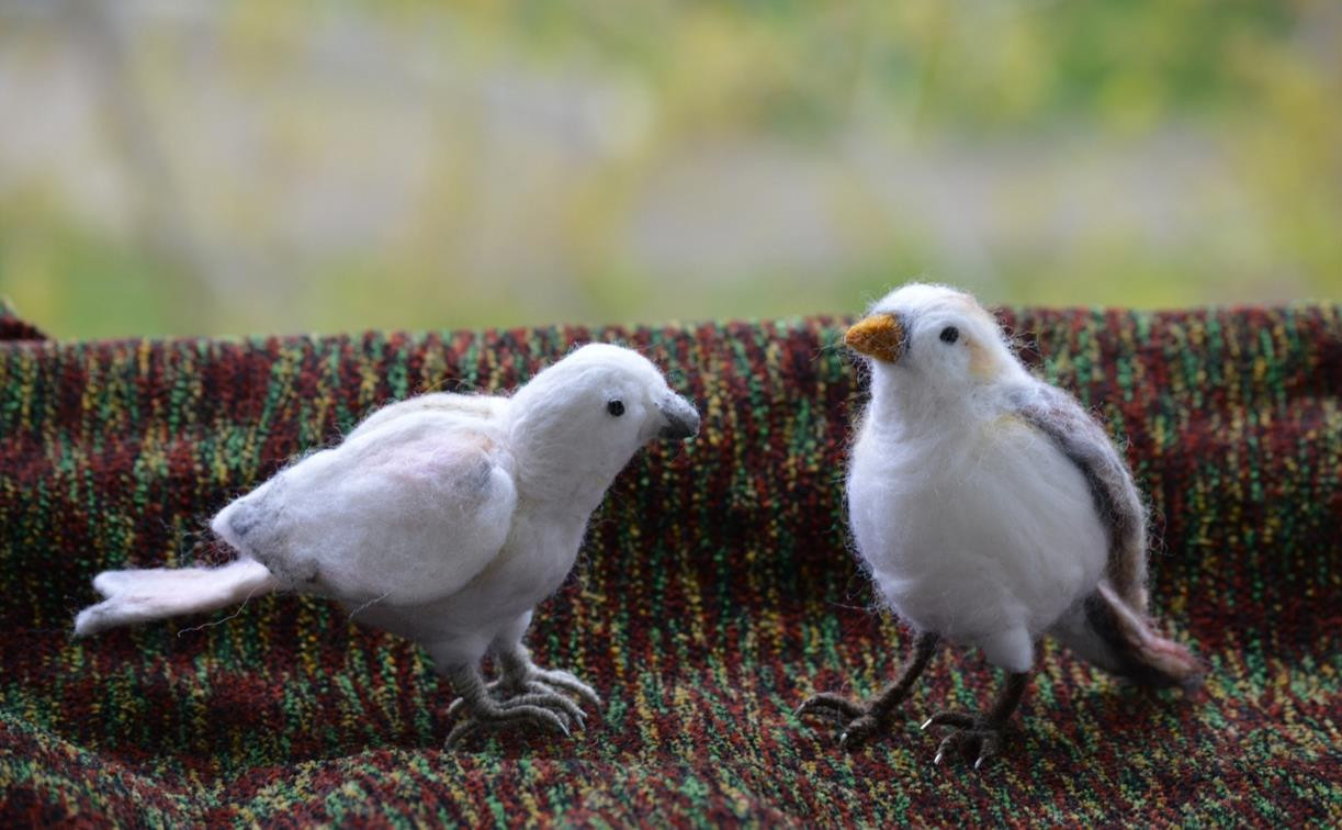 Любителям рукоделия: создаем птичек с Екатериной Зерновой