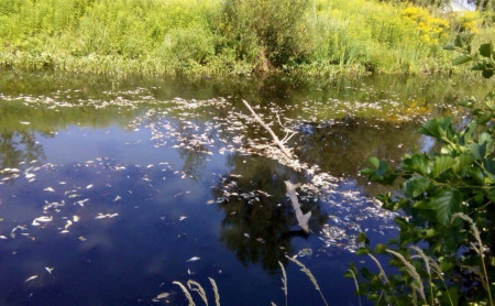 Жизнь Тулы и области