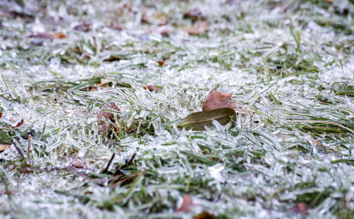 Погода в Туле 20 ноября: мокрый снег, гололед и ветер
