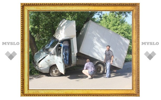 В Туле грузовая ГАЗель забралась на дерево