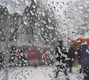 Погода в Туле 19 февраля: снег с дождем, ветер и до +6 градусов