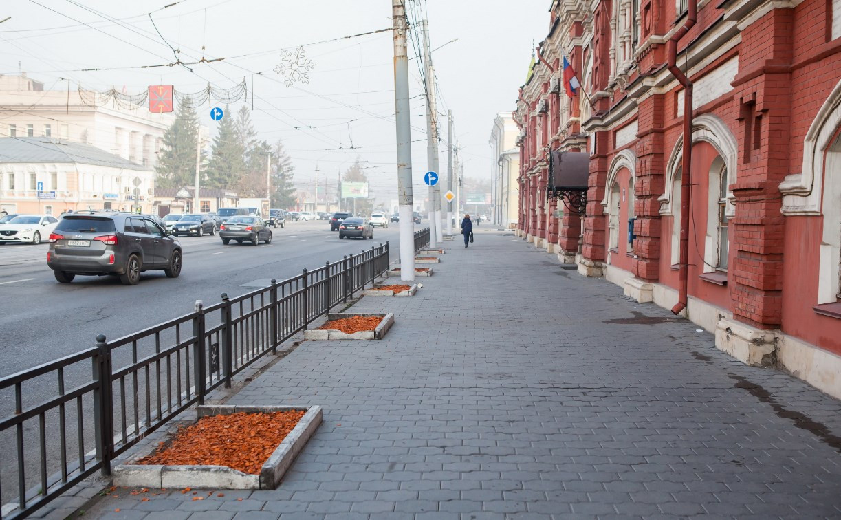 Администрация Тулы: Cправимся с озеленением без советов дендрологов -  Новости Тулы и области - MySlo.ru